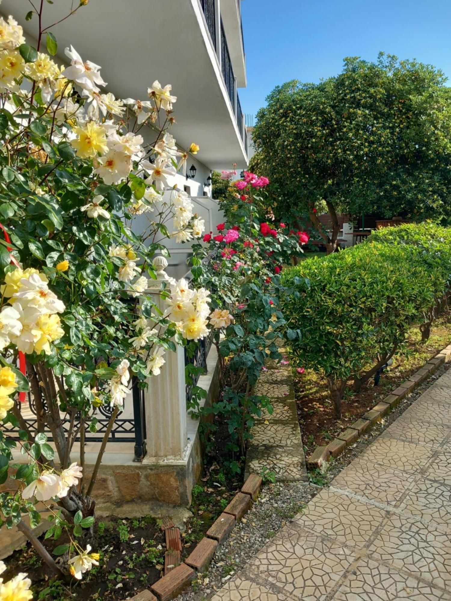 Panorama Aparthotel Agios Georgios  Buitenkant foto